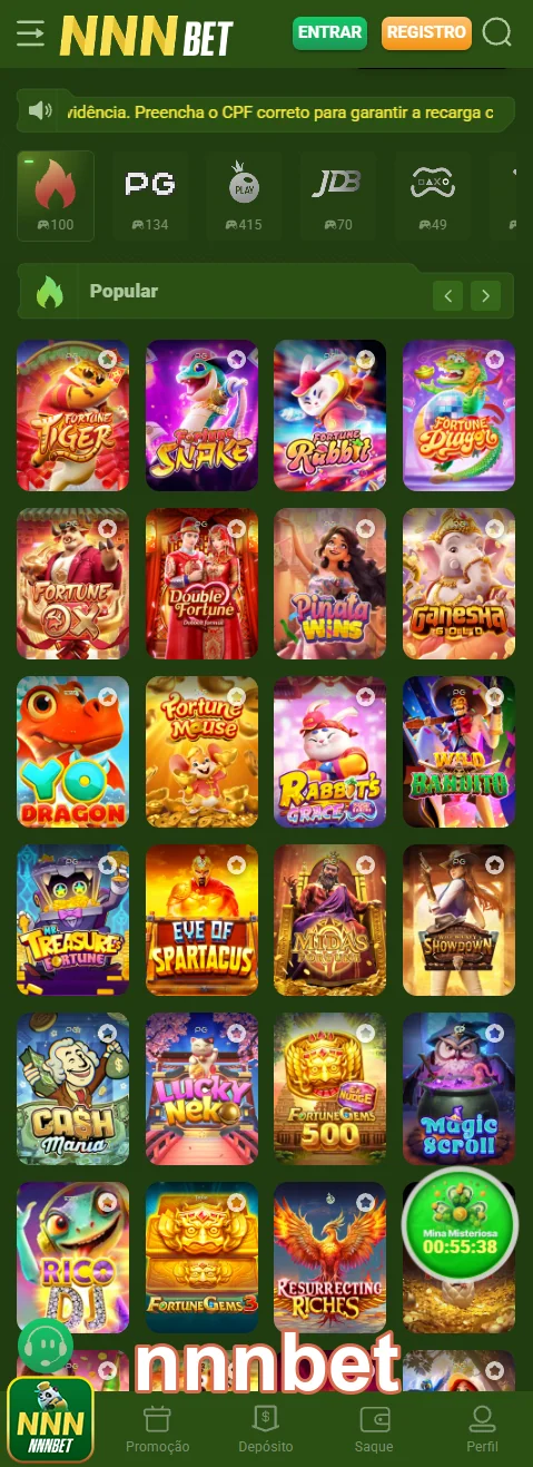 Interface da nnnbet com opções personalizadas para jogadores VIP.